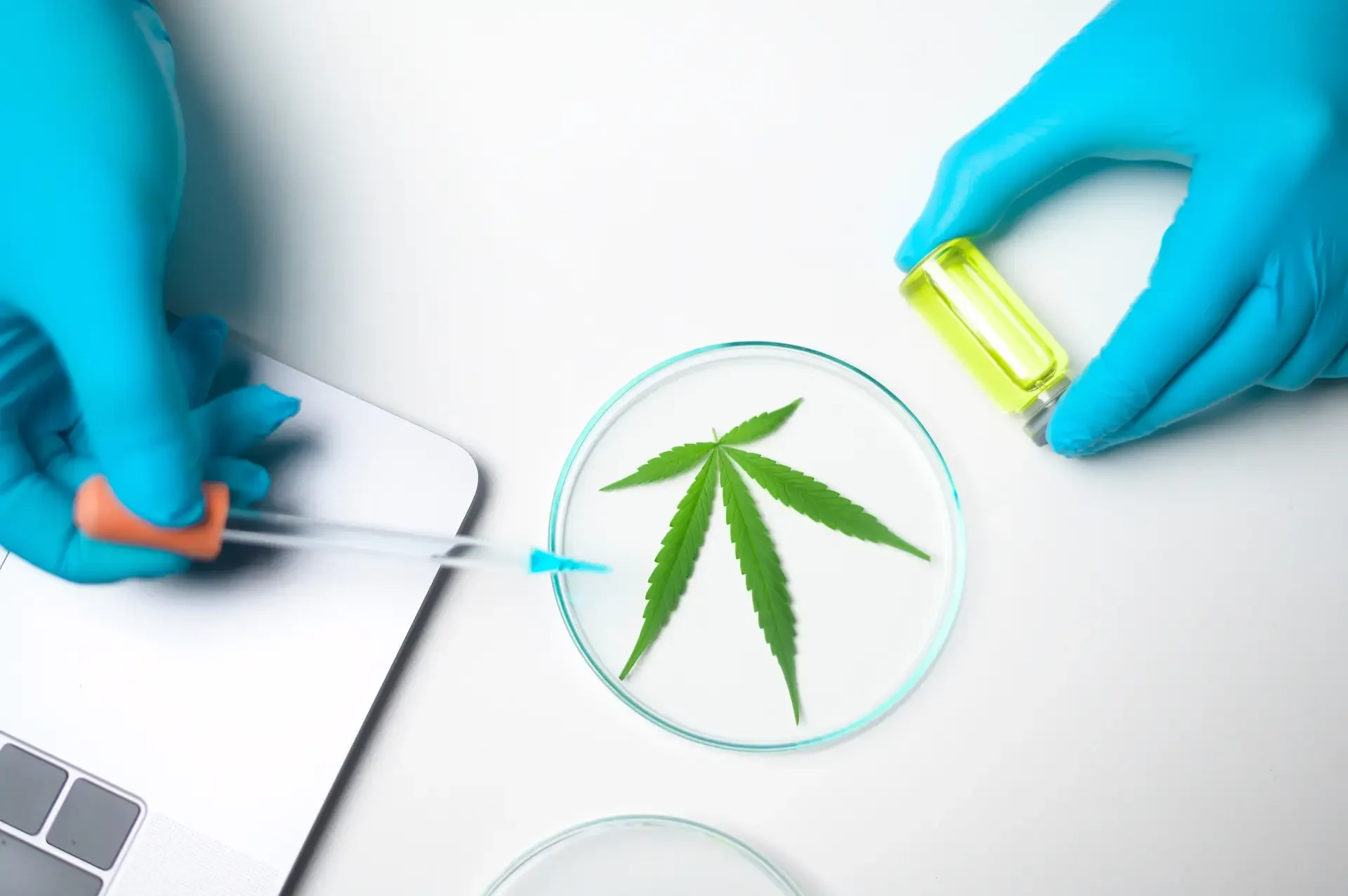 Use of Ozempic and Wegovy associated with reduced likelihood of developing cannabis use disorder