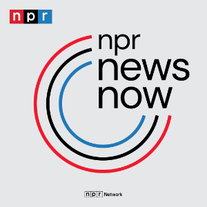NPR Newscast
